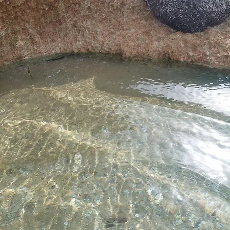 Tiny Loft House In Halkidiki Ferienhaus Nea Poteidaia