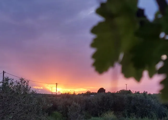Tiny Loft House In Halkidiki *
