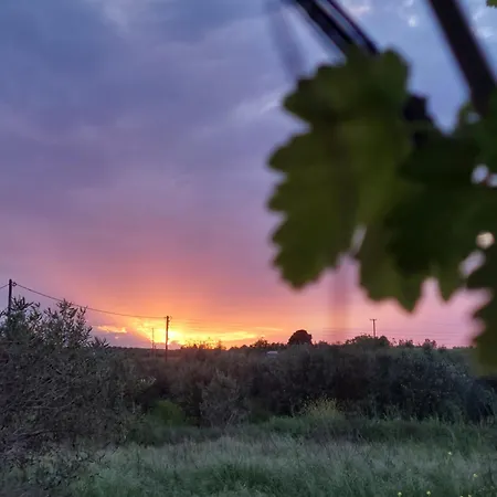 Tiny Loft House In Halkidiki *