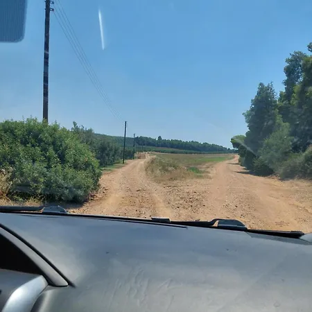 Vakantiehuis Tiny Loft House In Halkidiki